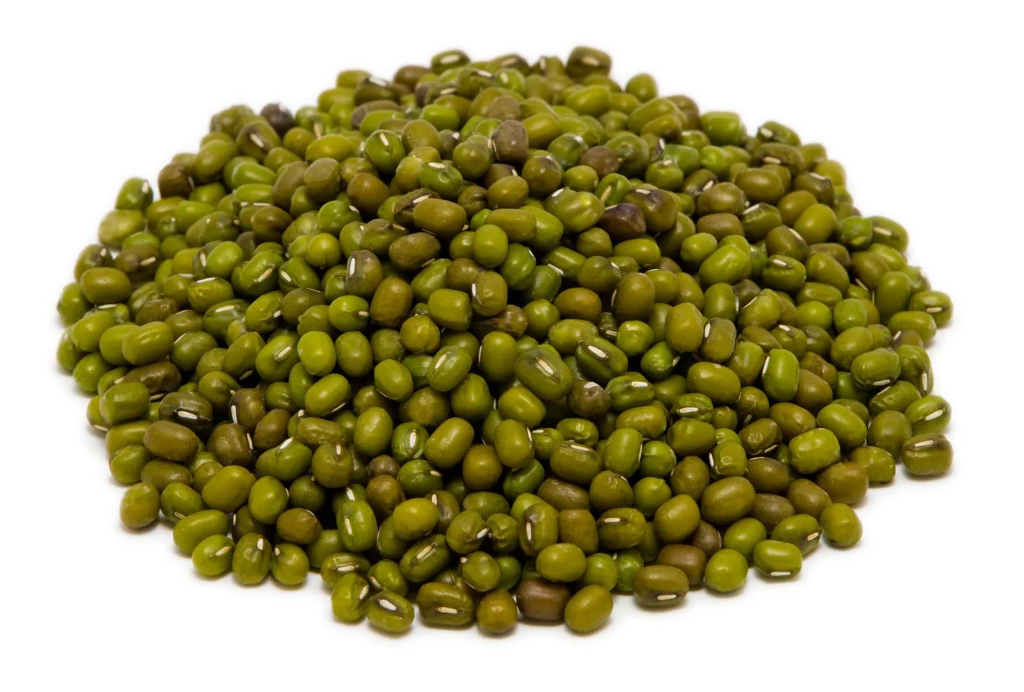 Wholesale Green Moong Beans Export from Sri Lanka